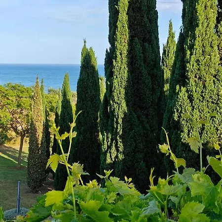 Casa Rivera * بينالماذينا